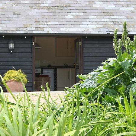 Five Cottages In Aonb Ashford  Ngoại thất bức ảnh